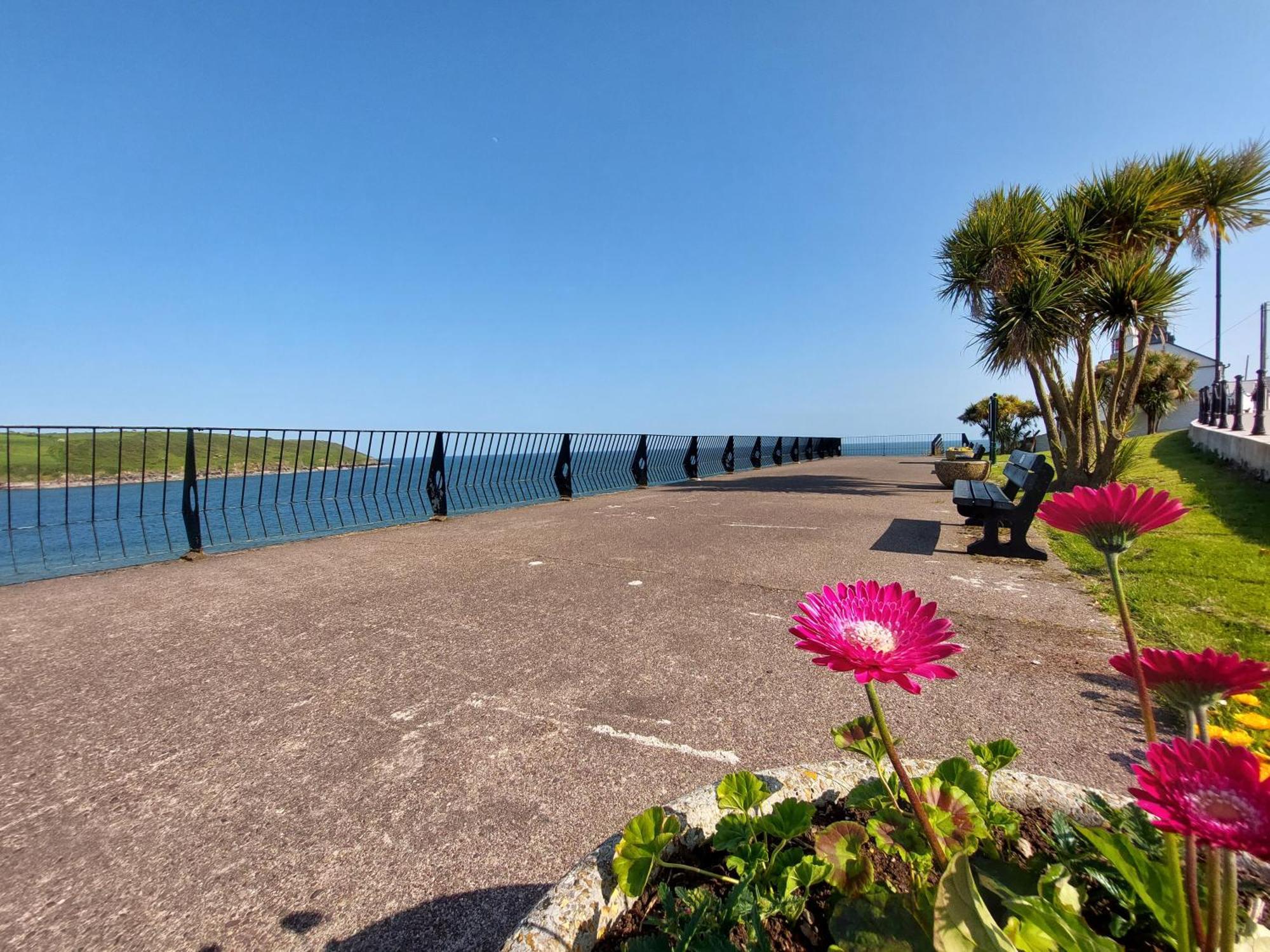 Sea Whispers - My Charming Costal Retreat In Youghal Exterior foto